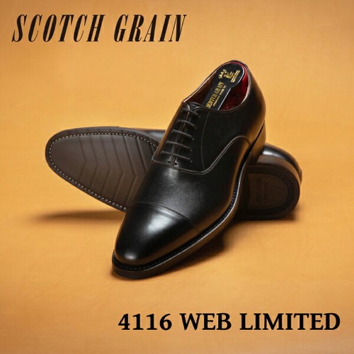 SCOTCH GRAIN(スコッチグレイン) ストレートチップ ビジネスシューズ NL4116BL